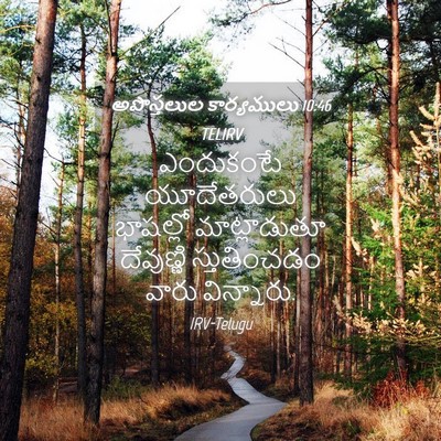 Picture 04 - అపొస్తలుల కార్యములు 10:46 TELIRV - ఎందుకంటే - Bible Verse Picture