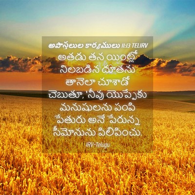 Picture 04 - అపొస్తలుల కార్యములు 11:13 TELIRV - అతడు తన యింట్లో - Bible Verse Picture