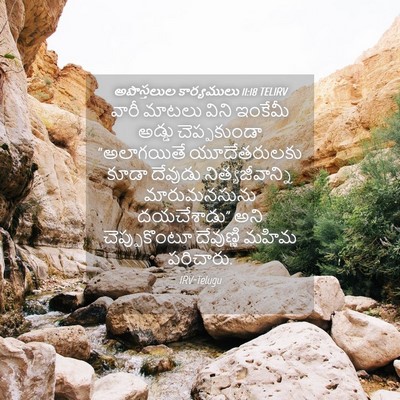 Picture 04 - అపొస్తలుల కార్యములు 11:18 TELIRV - వారీ మాటలు విని - Bible Verse Picture