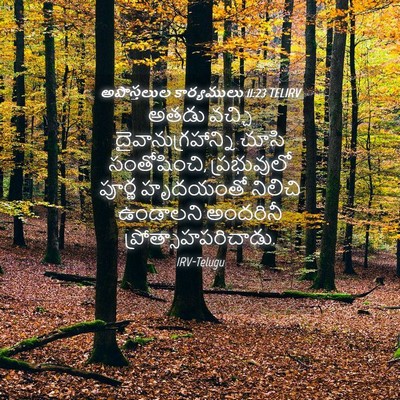 Picture 04 - అపొస్తలుల కార్యములు 11:23 TELIRV - అతడు వచ్చి - Bible Verse Picture
