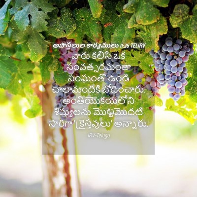 Picture 04 - అపొస్తలుల కార్యములు 11:26 TELIRV - వారు కలిసి ఒక - Bible Verse Picture
