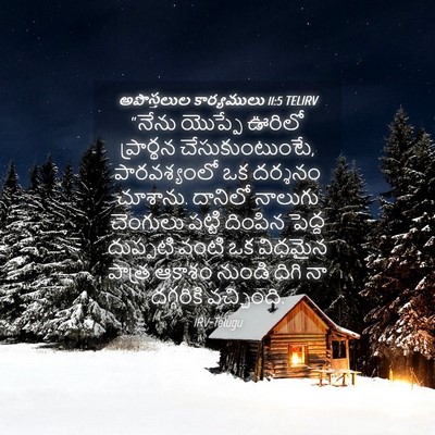 Picture 04 - అపొస్తలుల కార్యములు 11:5 TELIRV - “నేను యొప్పే - Bible Verse Picture