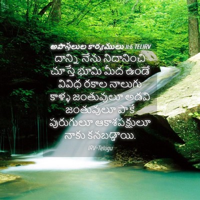 Picture 04 - అపొస్తలుల కార్యములు 11:6 TELIRV - దాన్ని నేను - Bible Verse Picture