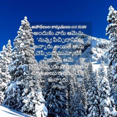 Picture 04 - అపొస్తలుల కార్యములు 12:15 TELIRV - అందుకు వారు ఆమెను - Bible Verse Picture