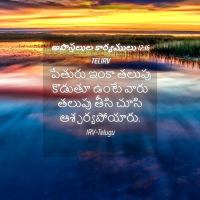 Picture 04 - అపొస్తలుల కార్యములు 12:16 TELIRV - పేతురు ఇంకా తలుపు - Bible Verse Picture