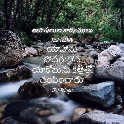 Picture 04 - అపొస్తలుల కార్యములు 12:2 TELIRV - యోహాను సోదరుడైన - Bible Verse Picture