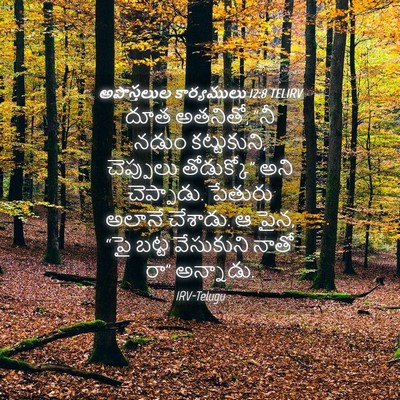 Picture 04 - అపొస్తలుల కార్యములు 12:8 TELIRV - దూత అతనితో, “నీ - Bible Verse Picture