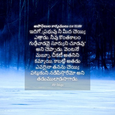 Picture 04 - అపొస్తలుల కార్యములు 13:11 TELIRV - ఇదిగో, ప్రభువు నీ - Bible Verse Picture