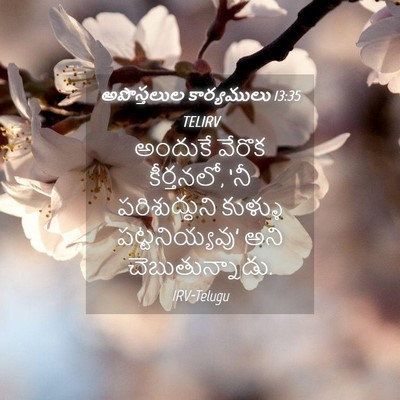 Picture 04 - అపొస్తలుల కార్యములు 13:35 TELIRV - అందుకే వేరొక - Bible Verse Picture
