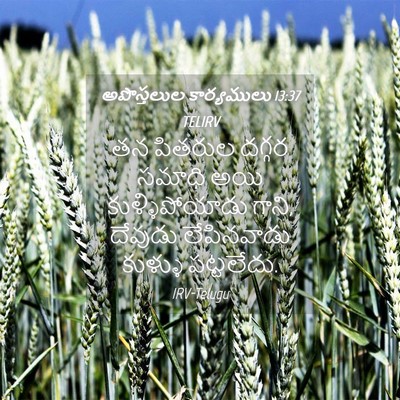 Picture 04 - అపొస్తలుల కార్యములు 13:37 TELIRV - తన పితరుల దగ్గర - Bible Verse Picture