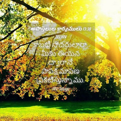 Picture 04 - అపొస్తలుల కార్యములు 13:38 TELIRV - కాబట్టి - Bible Verse Picture