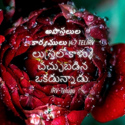 Picture 04 - అపొస్తలుల కార్యములు 14:7 TELIRV - లుస్త్రలో కాళ్ళు - Bible Verse Picture