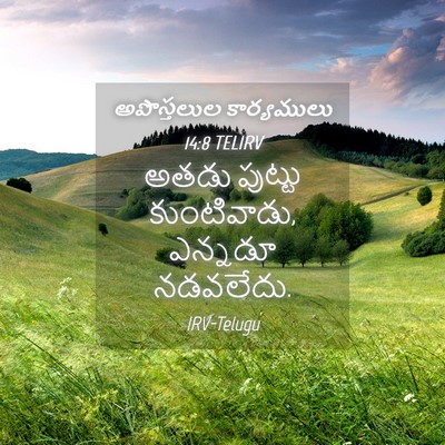 Picture 04 - అపొస్తలుల కార్యములు 14:8 TELIRV - అతడు పుట్టు - Bible Verse Picture