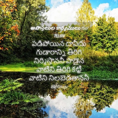 Picture 04 - అపొస్తలుల కార్యములు 15:17 TELIRV - పడిపోయిన దావీదు - Bible Verse Picture