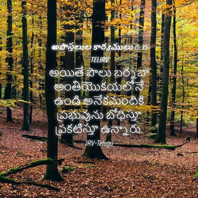 Picture 04 - అపొస్తలుల కార్యములు 15:35 TELIRV - అయితే పౌలు బర్నబా - Bible Verse Picture
