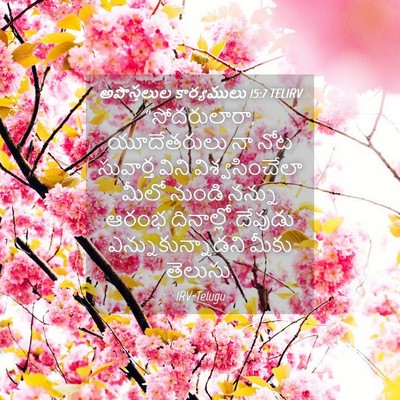 Picture 04 - అపొస్తలుల కార్యములు 15:7 TELIRV - “సోదరులారా, - Bible Verse Picture