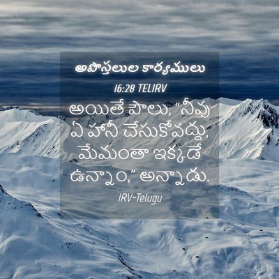 Picture 04 - అపొస్తలుల కార్యములు 16:28 TELIRV - అయితే పౌలు, “నీవు ఏ - Bible Verse Picture