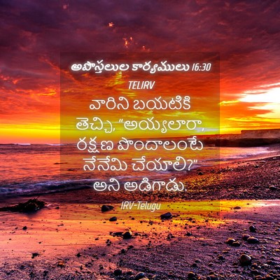 Picture 04 - అపొస్తలుల కార్యములు 16:30 TELIRV - వారిని బయటికి - Bible Verse Picture