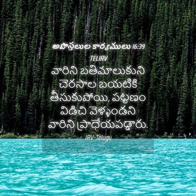 Picture 04 - అపొస్తలుల కార్యములు 16:39 TELIRV - వారిని - Bible Verse Picture