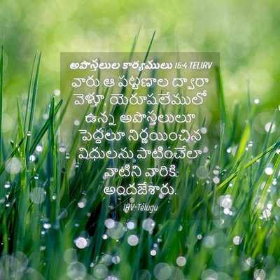 Picture 04 - అపొస్తలుల కార్యములు 16:4 TELIRV - వారు ఆ పట్టణాల - Bible Verse Picture