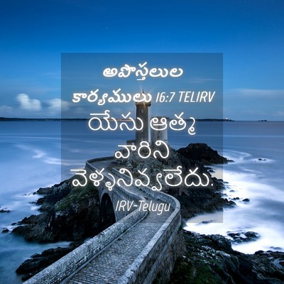 Picture 04 - అపొస్తలుల కార్యములు 16:7 TELIRV - యేసు ఆత్మ వారిని - Bible Verse Picture