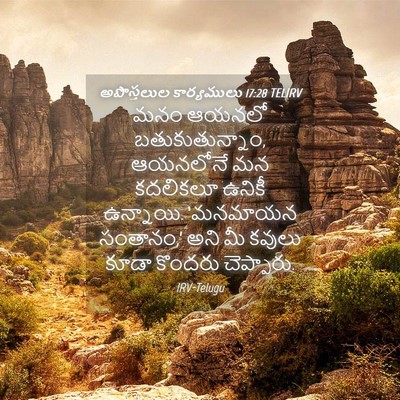 Picture 04 - అపొస్తలుల కార్యములు 17:28 TELIRV - మనం ఆయనలో - Bible Verse Picture