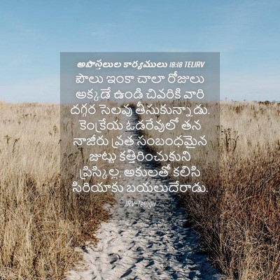 Picture 04 - అపొస్తలుల కార్యములు 18:18 TELIRV - పౌలు ఇంకా చాలా - Bible Verse Picture