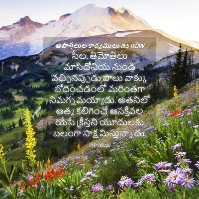 Picture 04 - అపొస్తలుల కార్యములు 18:5 TELIRV - సీల, తిమోతిలు - Bible Verse Picture