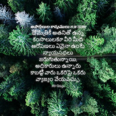 Picture 04 - అపొస్తలుల కార్యములు 19:38 TELIRV - దేమేత్రికీ అతనితో - Bible Verse Picture