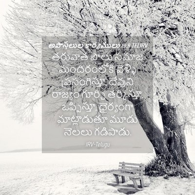 Picture 04 - అపొస్తలుల కార్యములు 19:8 TELIRV - తరువాత పౌలు సమాజ - Bible Verse Picture