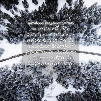 Picture 04 - అపొస్తలుల కార్యములు 2:17 TELIRV - ‘అంత్యదినాల్లో - Bible Verse Picture