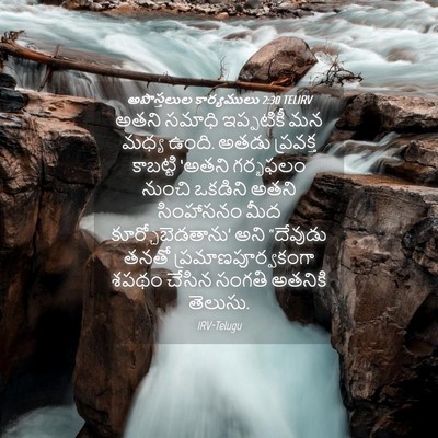 Picture 04 - అపొస్తలుల కార్యములు 2:30 TELIRV - అతని సమాధి - Bible Verse Picture