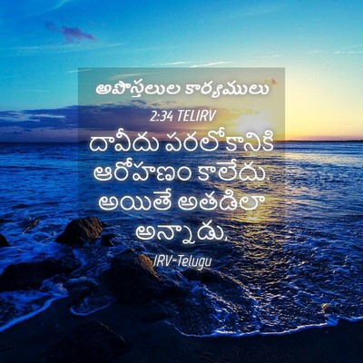 Picture 04 - అపొస్తలుల కార్యములు 2:34 TELIRV - దావీదు పరలోకానికి - Bible Verse Picture
