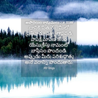 Picture 04 - అపొస్తలుల కార్యములు 2:38 TELIRV - దానికి పేతురు, - Bible Verse Picture