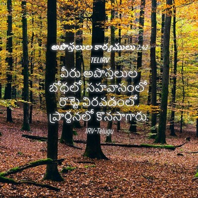 Picture 04 - అపొస్తలుల కార్యములు 2:42 TELIRV - వీరు అపొస్తలుల - Bible Verse Picture