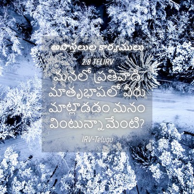 Picture 04 - అపొస్తలుల కార్యములు 2:8 TELIRV - మనలో ప్రతివాడి - Bible Verse Picture