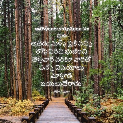 Picture 04 - అపొస్తలుల కార్యములు 20:11 TELIRV - అతడు మళ్ళీ పైకి - Bible Verse Picture