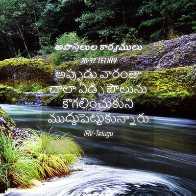 Picture 04 - అపొస్తలుల కార్యములు 20:37 TELIRV - అప్పుడు వారంతా - Bible Verse Picture