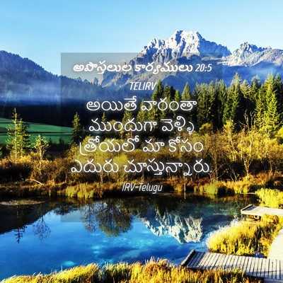 Picture 04 - అపొస్తలుల కార్యములు 20:5 TELIRV - అయితే వారంతా - Bible Verse Picture