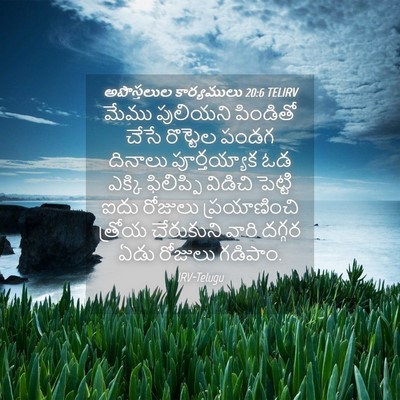 Picture 04 - అపొస్తలుల కార్యములు 20:6 TELIRV - మేము పులియని - Bible Verse Picture