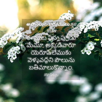 Picture 04 - అపొస్తలుల కార్యములు 21:12 TELIRV - ఈ మాట విన్నప్పుడు - Bible Verse Picture