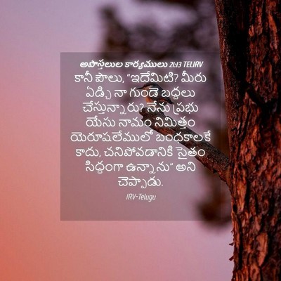 Picture 04 - అపొస్తలుల కార్యములు 21:13 TELIRV - కానీ పౌలు, - Bible Verse Picture