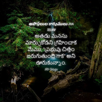 Picture 04 - అపొస్తలుల కార్యములు 21:14 TELIRV - అతడు మనసు - Bible Verse Picture