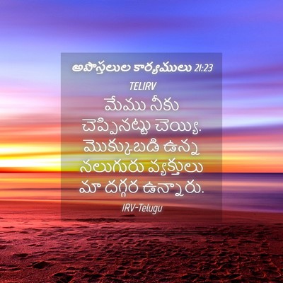 Picture 04 - అపొస్తలుల కార్యములు 21:23 TELIRV - మేము నీకు - Bible Verse Picture
