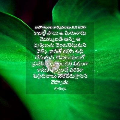 Picture 04 - అపొస్తలుల కార్యములు 21:26 TELIRV - కాబట్టి పౌలు ఆ - Bible Verse Picture