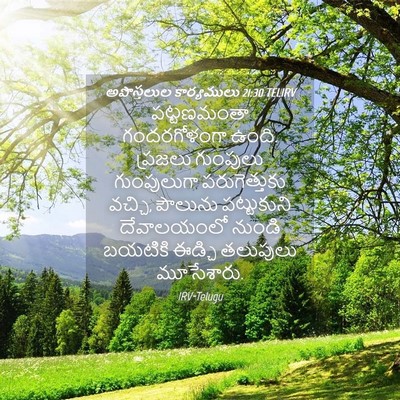 Picture 04 - అపొస్తలుల కార్యములు 21:30 TELIRV - పట్టణమంతా - Bible Verse Picture