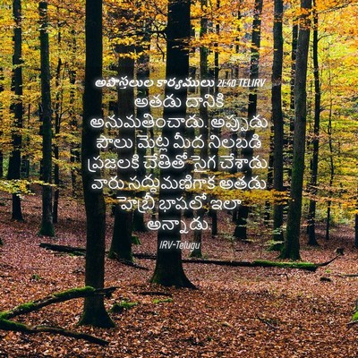Picture 04 - అపొస్తలుల కార్యములు 21:40 TELIRV - అతడు దానికి - Bible Verse Picture