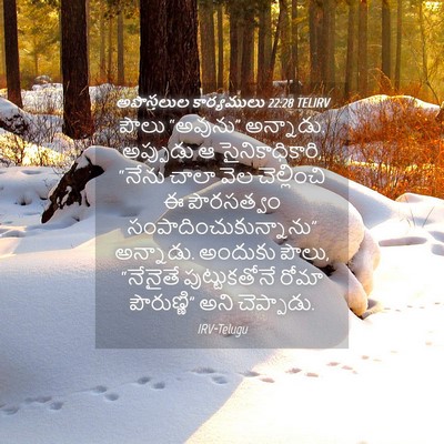 Picture 04 - అపొస్తలుల కార్యములు 22:28 TELIRV - పౌలు “అవును” - Bible Verse Picture
