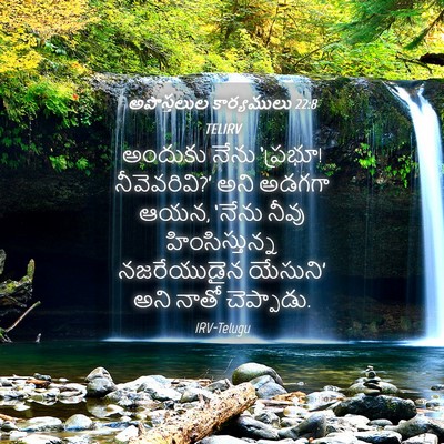 Picture 04 - అపొస్తలుల కార్యములు 22:8 TELIRV - అందుకు నేను - Bible Verse Picture