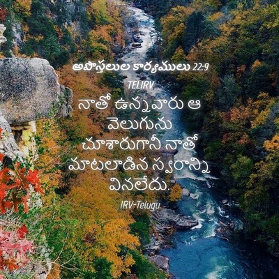 Picture 04 - అపొస్తలుల కార్యములు 22:9 TELIRV - నాతో ఉన్నవారు ఆ - Bible Verse Picture